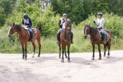 IMG-20240316-WA0021
