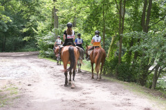 IMG-20240316-WA0026