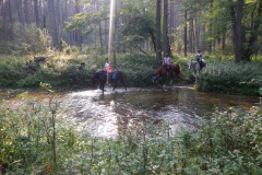 IMG-20240316-WA0028