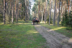 IMG-20240316-WA0030