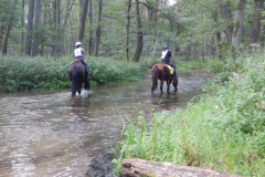 IMG-20240316-WA0031