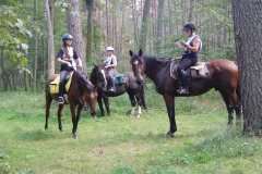 IMG-20240316-WA0034