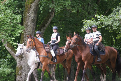 IMG-20240316-WA0037
